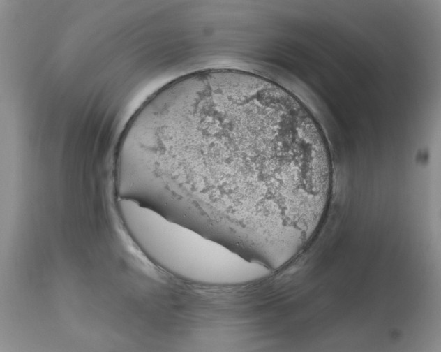 X0000113571048200910091434