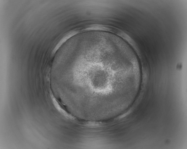 X0000113571049200910091434