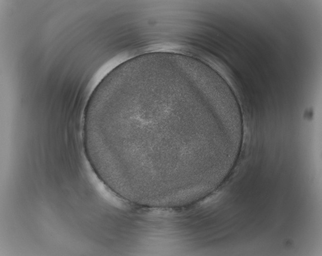 X0000113571050200910091434