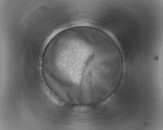 X0000113571051200910091434