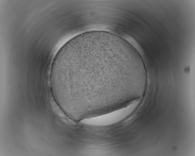 X0000113571052200910091434