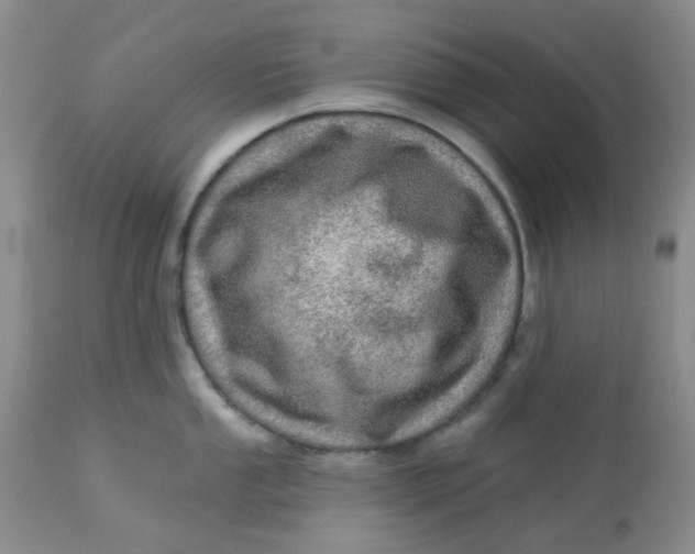 X0000113571053200910091434