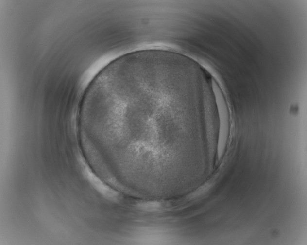 X0000113571054200910091434