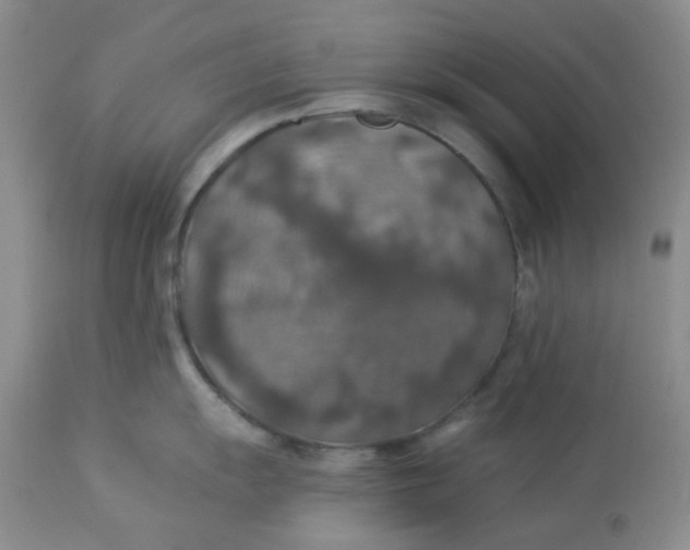 X0000113571055200910091434