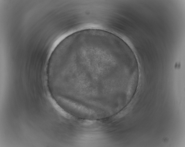 X0000113571056200910091434