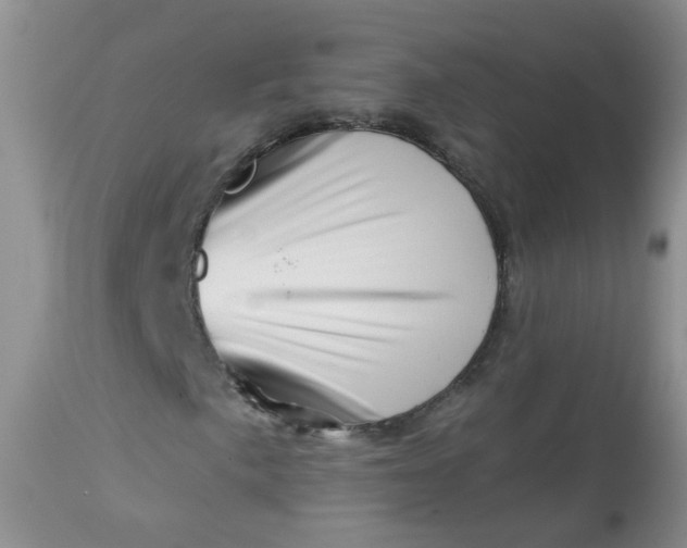 X0000113571057200910091434