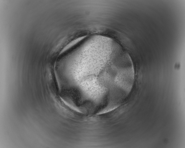 X0000113571058200910091434