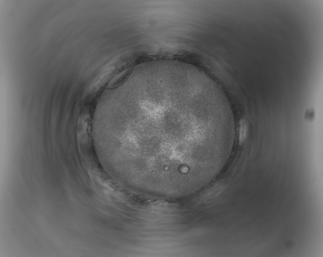 X0000113571059200910091433