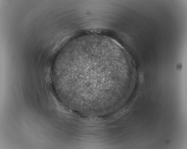 X0000113571060200910091433