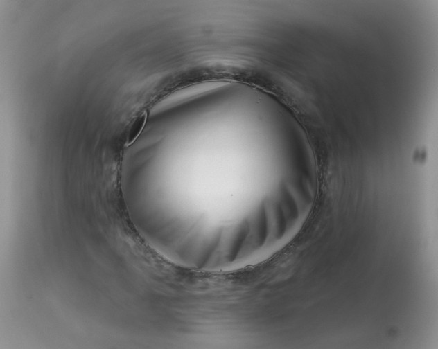 X0000113571061200910091433