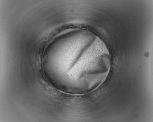 X0000113571062200910091433