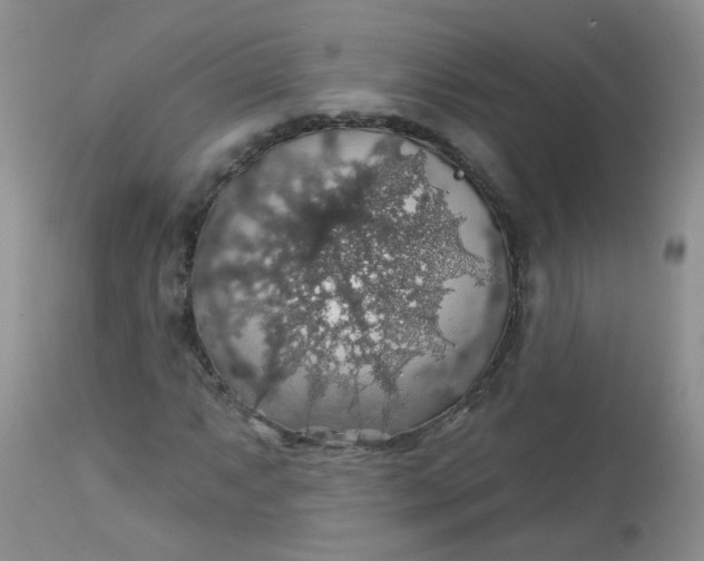 X0000113571063200910091433