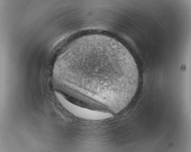 X0000113571064200910091433