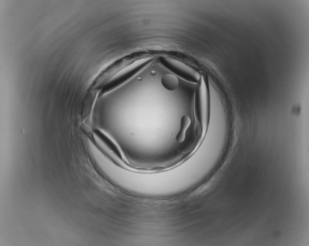 X0000113571065200910091433