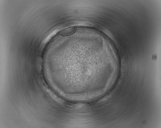 X0000113571067200910091433