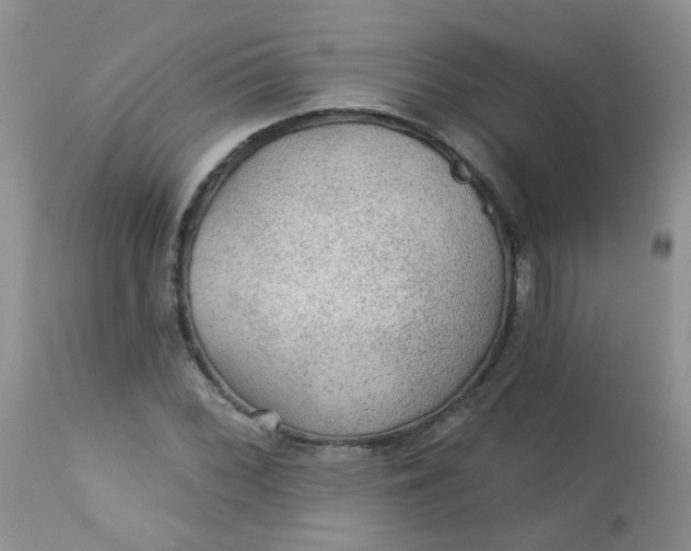 X0000113571068200910091433