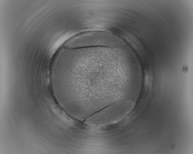 X0000113571069200910091433