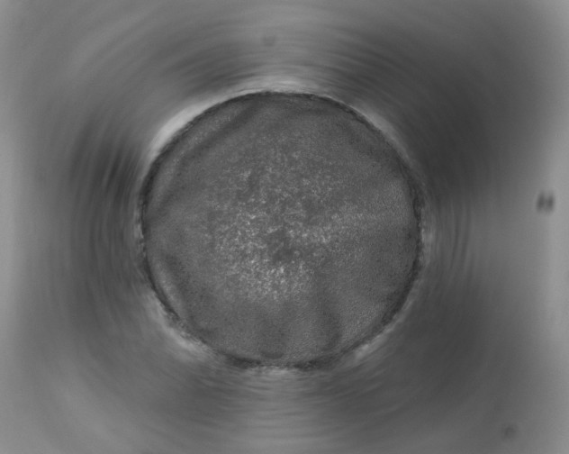 X0000113571070200910091433