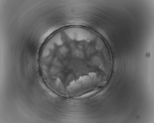 X0000113571071200910091433