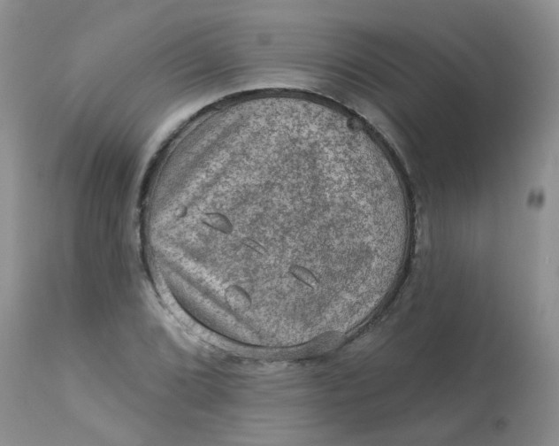 X0000113571072200910091433