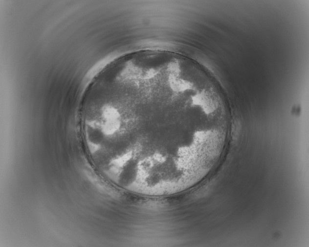 X0000113571074200910091433