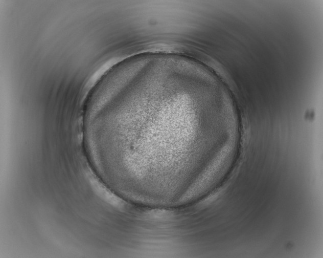 X0000113571075200910091433