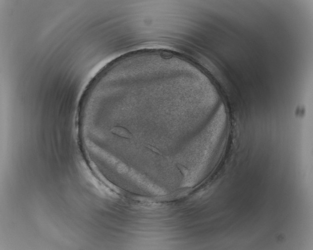 X0000113571076200910091433