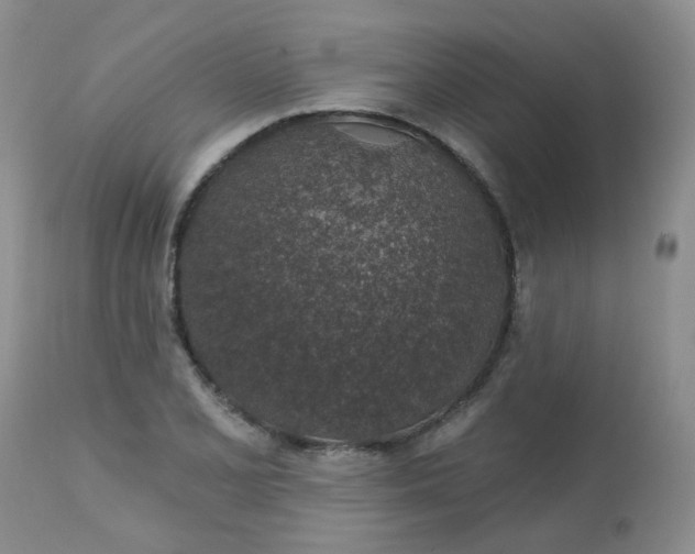 X0000113571077200910091433