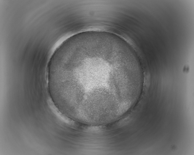 X0000113571078200910091433