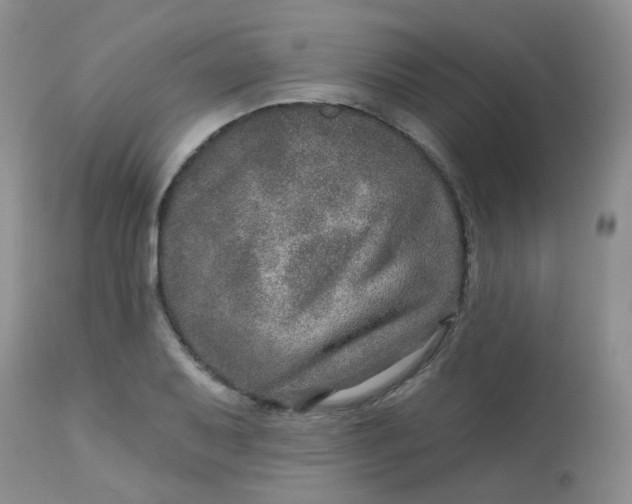 X0000113571079200910091433