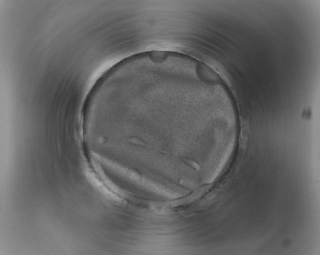 X0000113571080200910091433