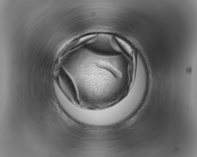 X0000113571081200910091433