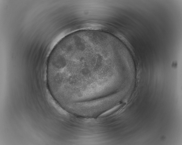 X0000113571083200910091433