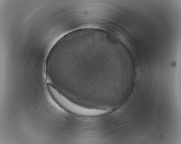 X0000113571084200910091433