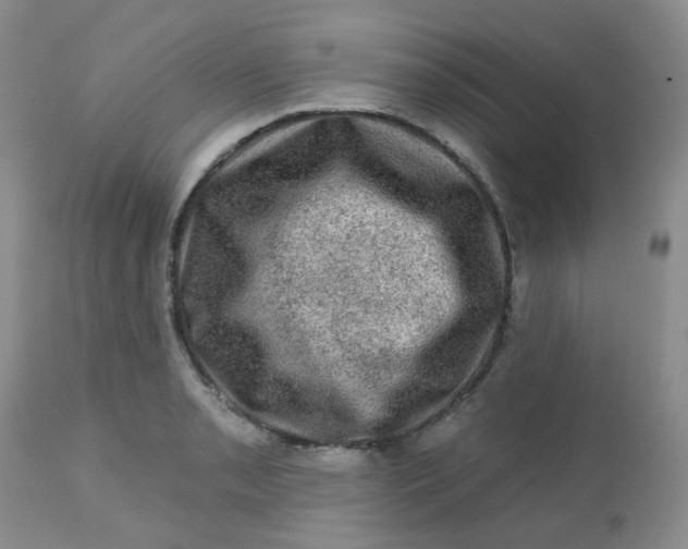 X0000113571085200910091433