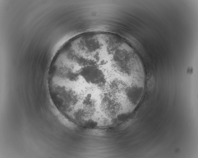 X0000113571086200910091433