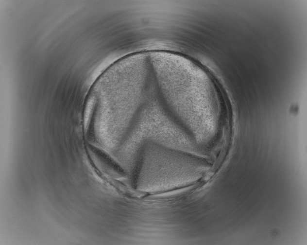 X0000113571089200910091433