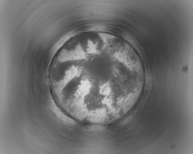 X0000113571090200910091433