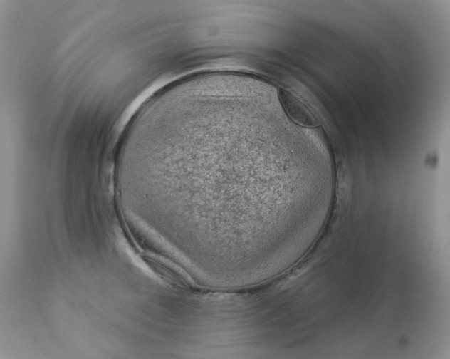 X0000113571092200910091433