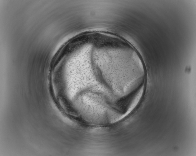 X0000113571093200910091433