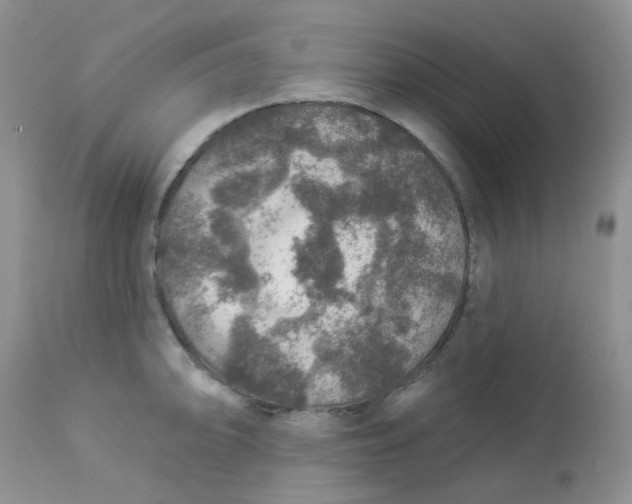 X0000113571094200910091433