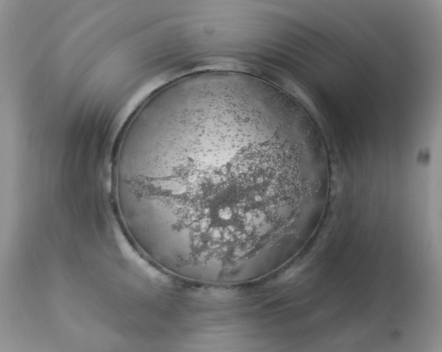 X0000113571095200910091433