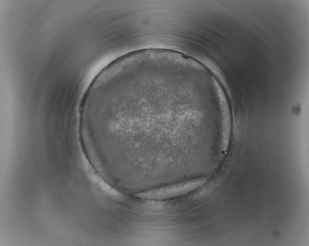 X0000113571096200910091433