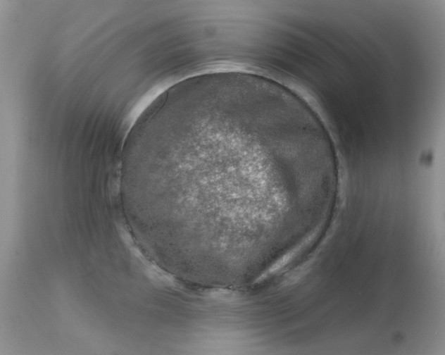 X0000113571097200910091433