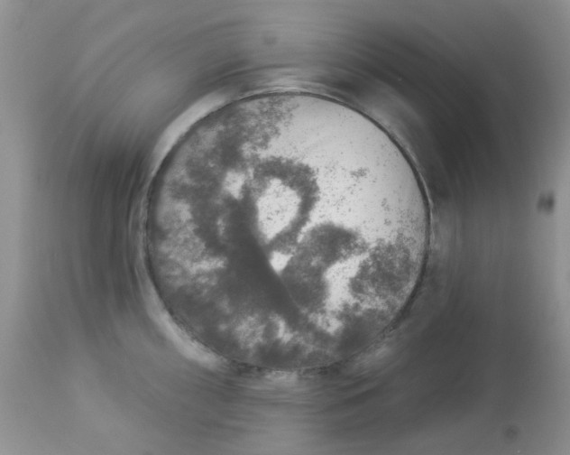 X0000113571098200910091433