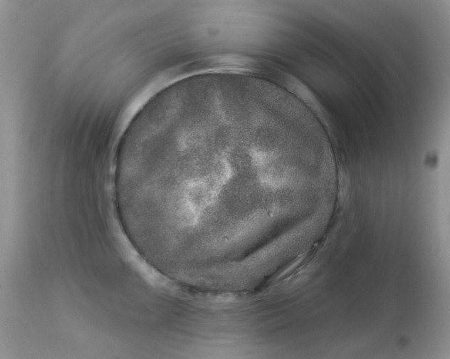 X0000113571099200910091433