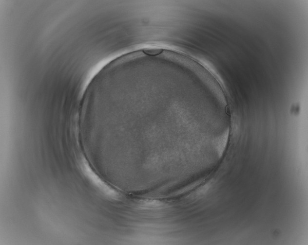 X0000113571100200910091433