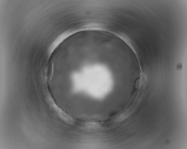 X0000113571101200910091433