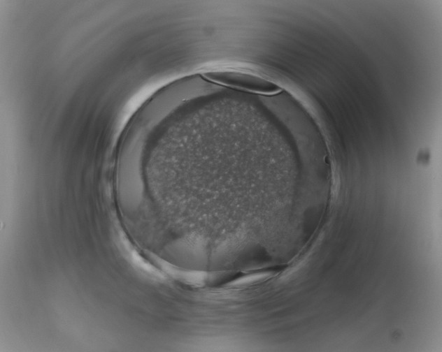 X0000113571102200910091433