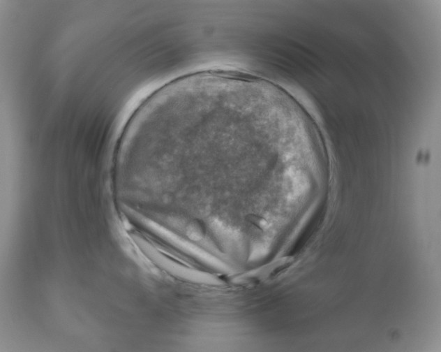 X0000113571104200910091433